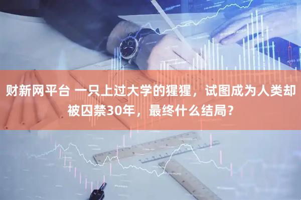 财新网平台 一只上过大学的猩猩，试图成为人类却被囚禁30年，最终什么结局？