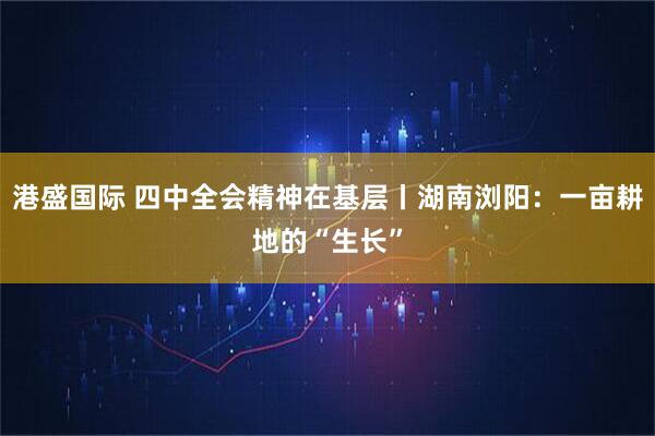 港盛国际 四中全会精神在基层丨湖南浏阳：一亩耕地的“生长”