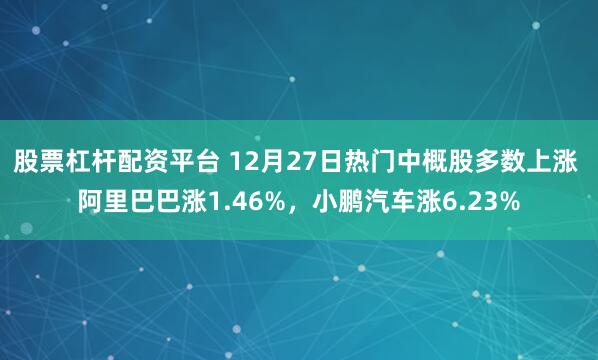 股票杠杆配资平台 12月27日热门中概股多数上涨 阿里巴巴涨1.46%，小鹏汽车涨6.23%