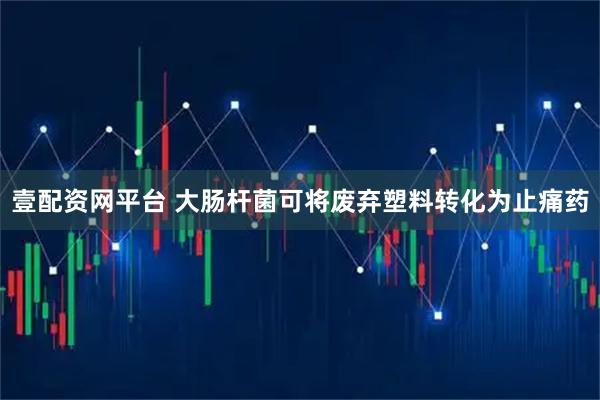 壹配资网平台 大肠杆菌可将废弃塑料转化为止痛药