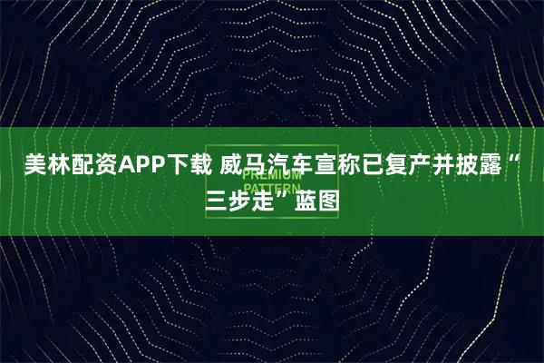 美林配资APP下载 威马汽车宣称已复产并披露“三步走”蓝图
